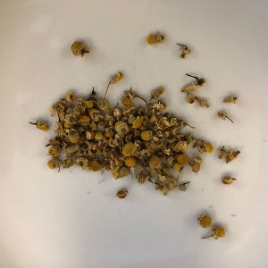 Chamomile