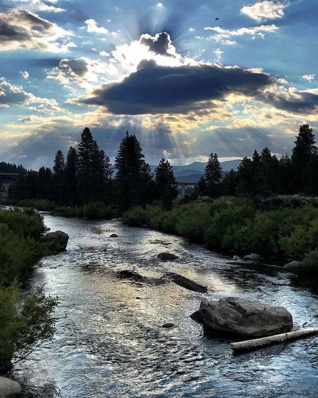 Cha Fine Teas of Truckee